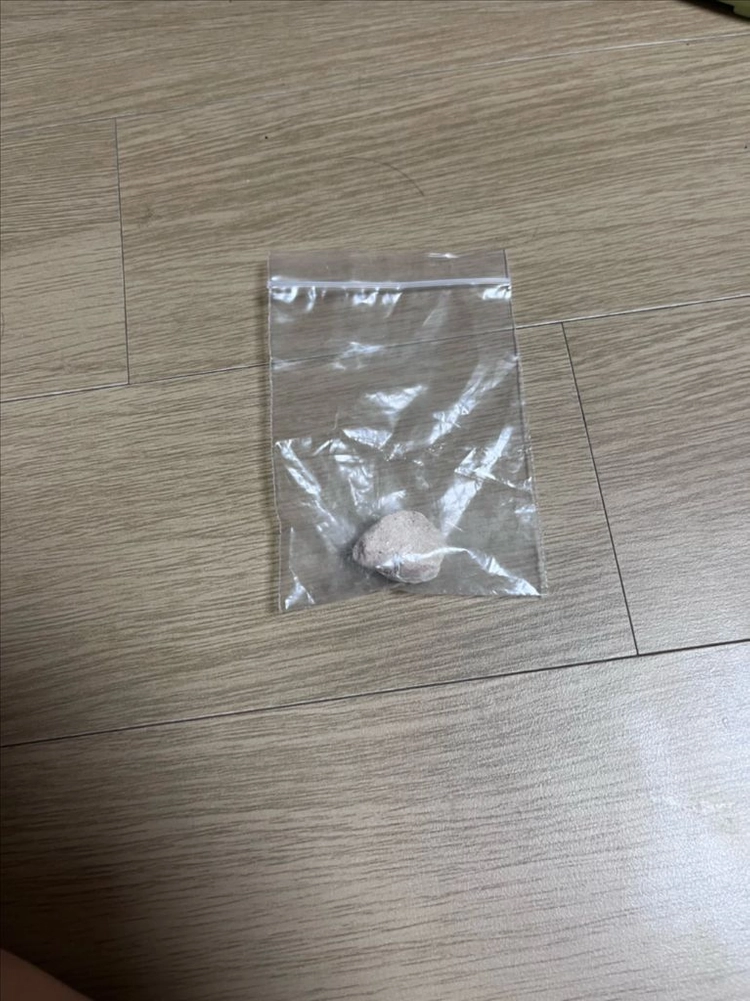 돌멩이 화석(교육용) 이미지