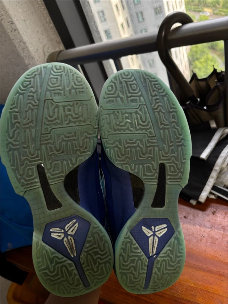 코비5 gs250 이미지
