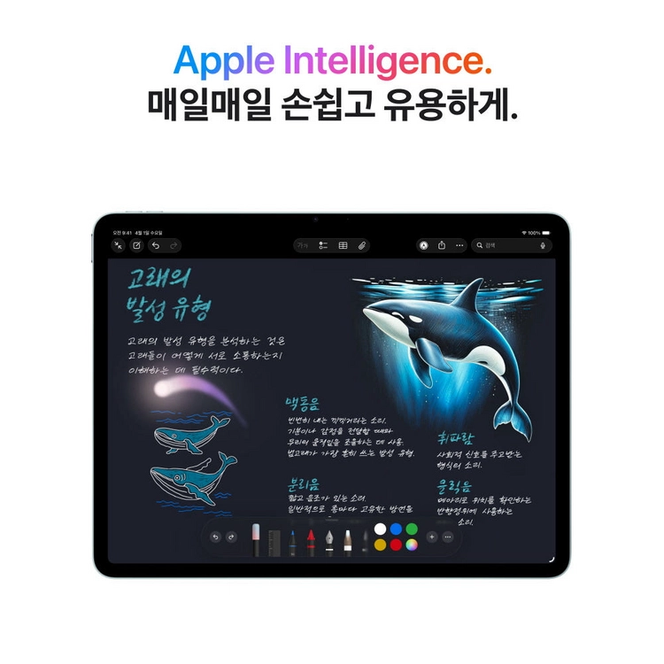 애플 아이패드 에어 13 M4 셀룰러 5G+WiFi, 128GB, 스타라이트 이미지