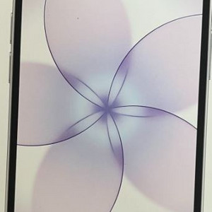미개봉 아이폰17e 화이트 256GB 이미지