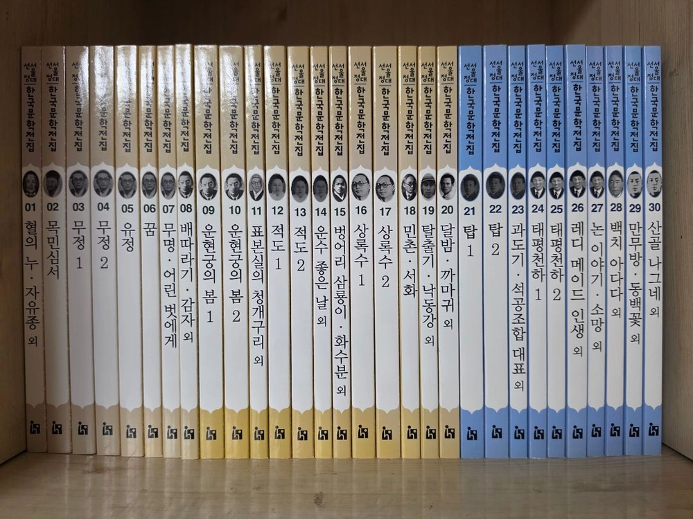 서울대선정 한국문학전집 100권 / 세계문학전집 100권 (상태좋음) 이미지