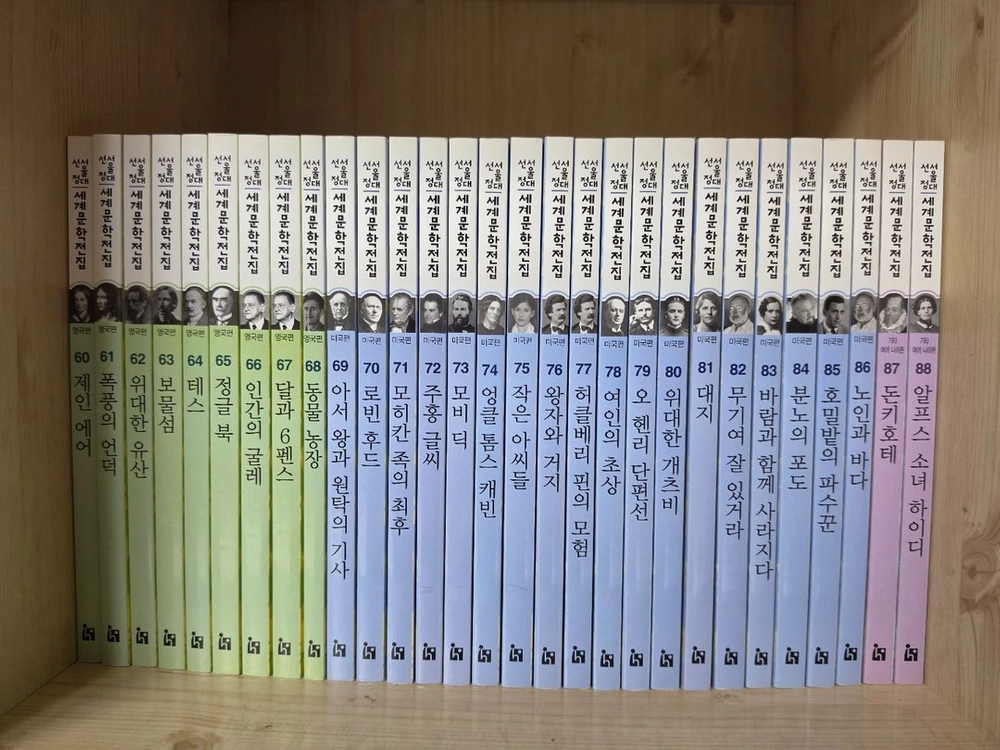 서울대선정 한국문학전집 100권 / 세계문학전집 100권 (상태좋음) 이미지