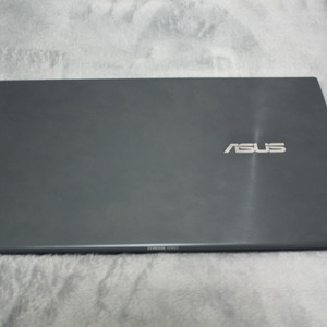 ASUS 젠북 UM425QA (SSD 1테라)