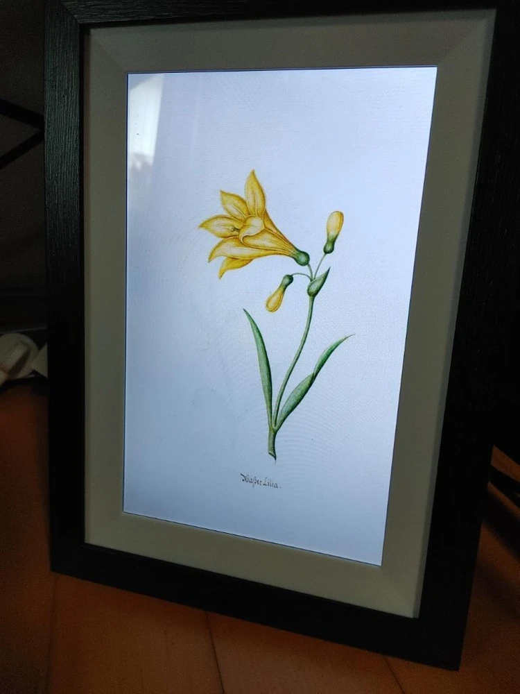 Frameo 10.1 인치 wifi 디지털 전자 액자 이미지