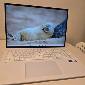LG그램 16인치 화이트 i5 11세대 / 8GB / SSD 256GB 65만원