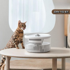고양이 정수기 이미지