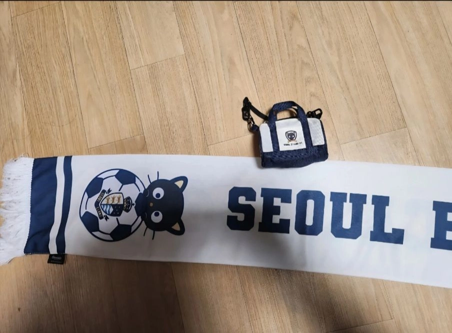 서울 이랜드 FC와 초코캣이 콜라보한 머플러예요 이미지