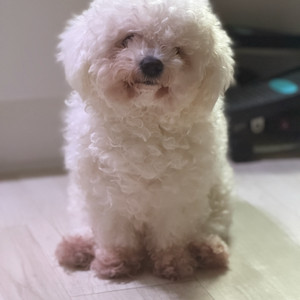 쿠팡 70퍼 삽니다 이미지