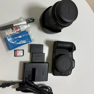캐논 EOS R8 + RF 24-105mm F4 L IS USM 렌즈