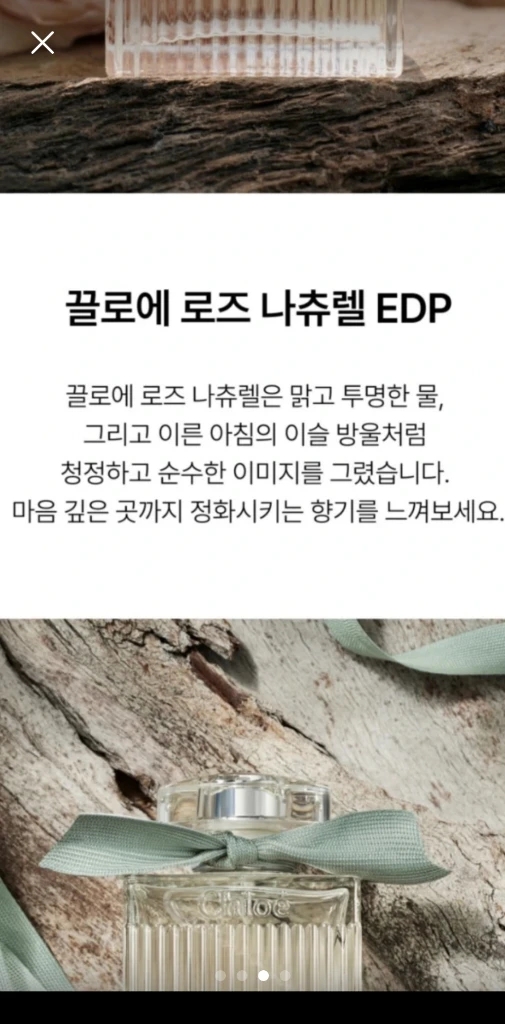 끌로에 향수 +섭스 샤넬 이미지