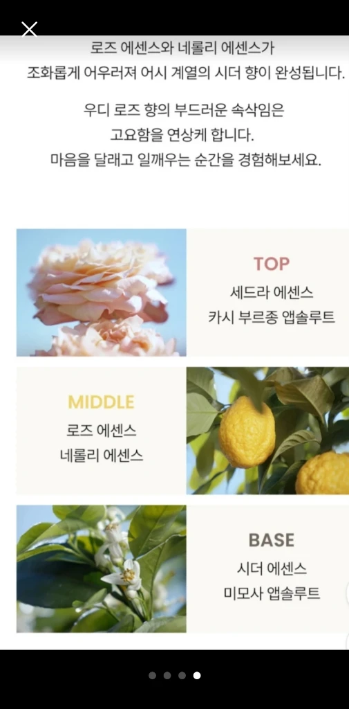 끌로에 향수 +섭스 샤넬 이미지