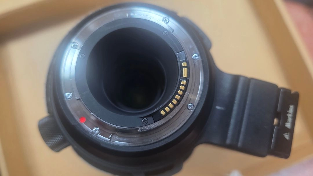 캐논전용렌즈 150-600mm F5-6.3DG OS HSM 렌즈 판매 이미지