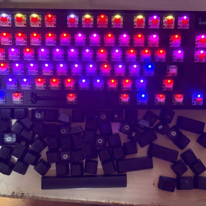 APEX PRO TKL 2023 이미지