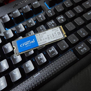 Crucial 2테라 M.2 nvme ssd 이미지
