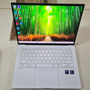 2024 LG그램 노트북 14ZD90S 울트라5, 16G/256G
