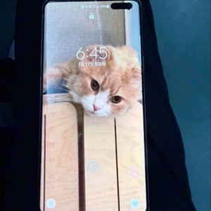 S10 5G 자급제 256GB 판매합니다 이미지