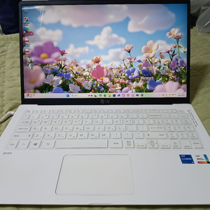 LG 그램 15인치 모델 15Z95N-GRWWL 이미지