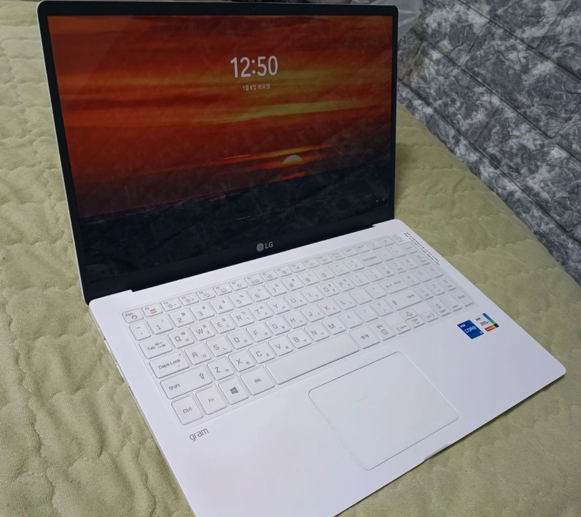 LG 그램 15인치 모델 15Z95N-GRWWL 이미지