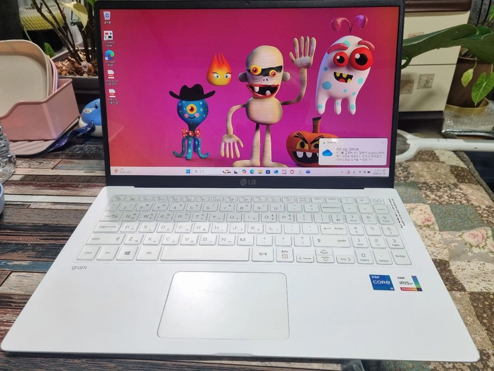 LG 그램 15인치 모델 15Z95N-GRWWL 이미지