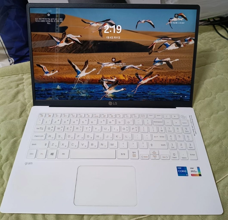 LG 그램 15인치 모델 15Z95N-GRWWL 이미지