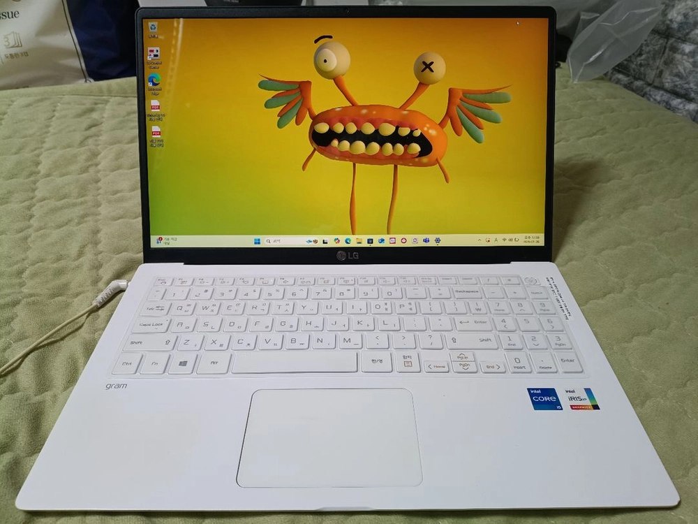 LG 그램 15인치 모델 15Z95N-GRWWL 이미지