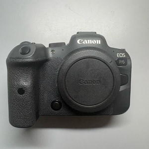캐논 eos r6
