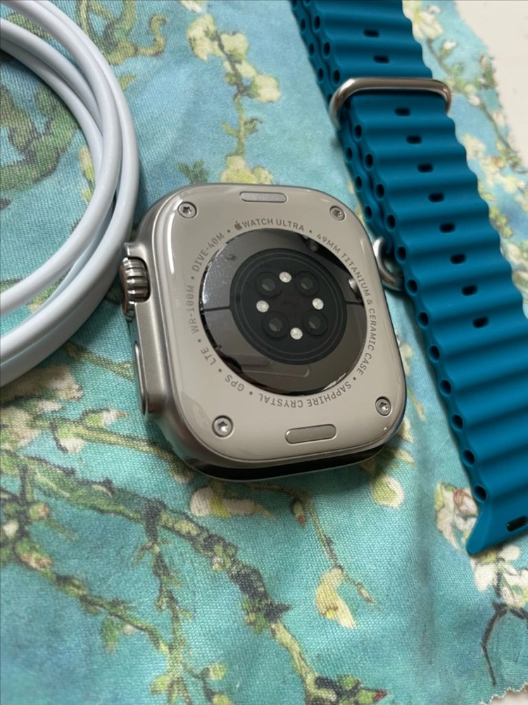 애플워치 울트라2 내추럴 49mm 이미지