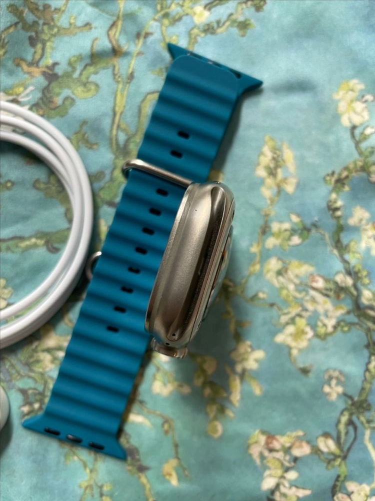 애플워치 울트라2 내추럴 49mm 이미지