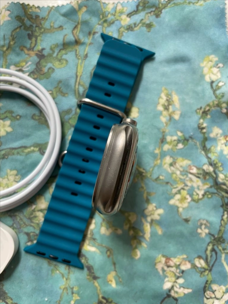 애플워치 울트라2 내추럴 49mm 이미지