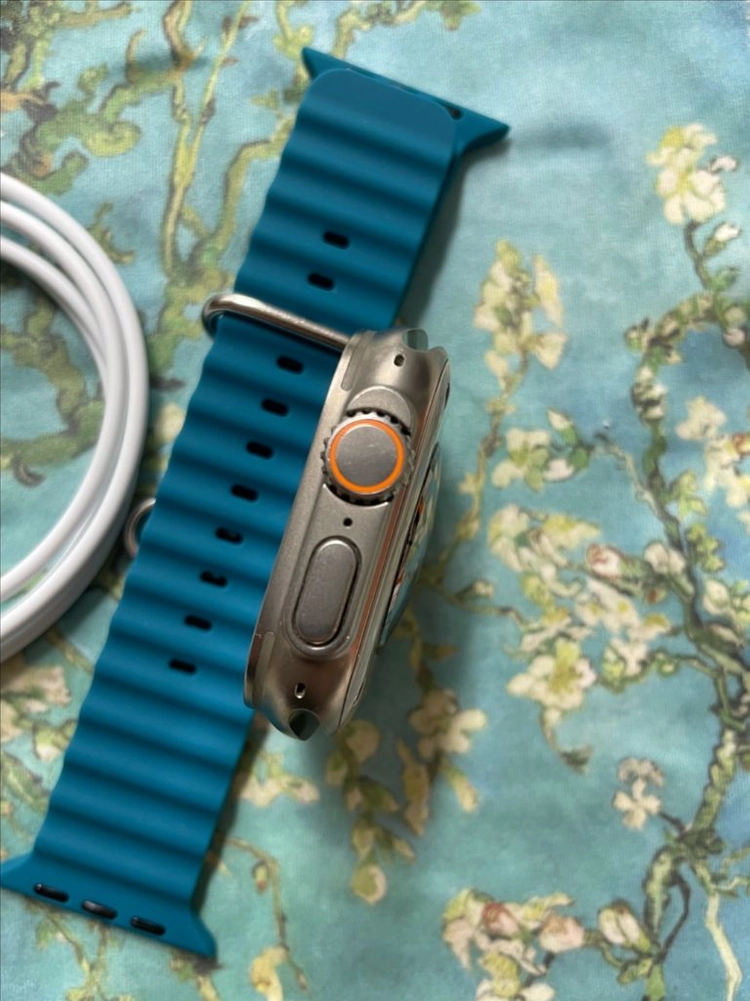 애플워치 울트라2 내추럴 49mm 이미지