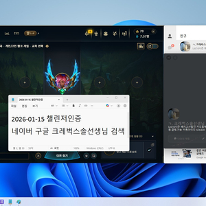 롤 리그오브레전드 lol 맡김 듀오 대리 이미지