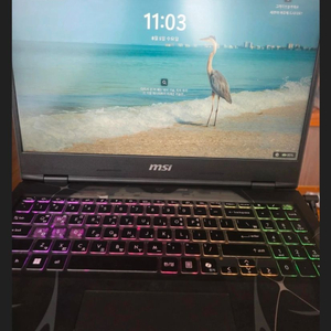 MSI 게이밍노트북 rtx5060, ddr5 16gb+ 풀박 + 윈도우