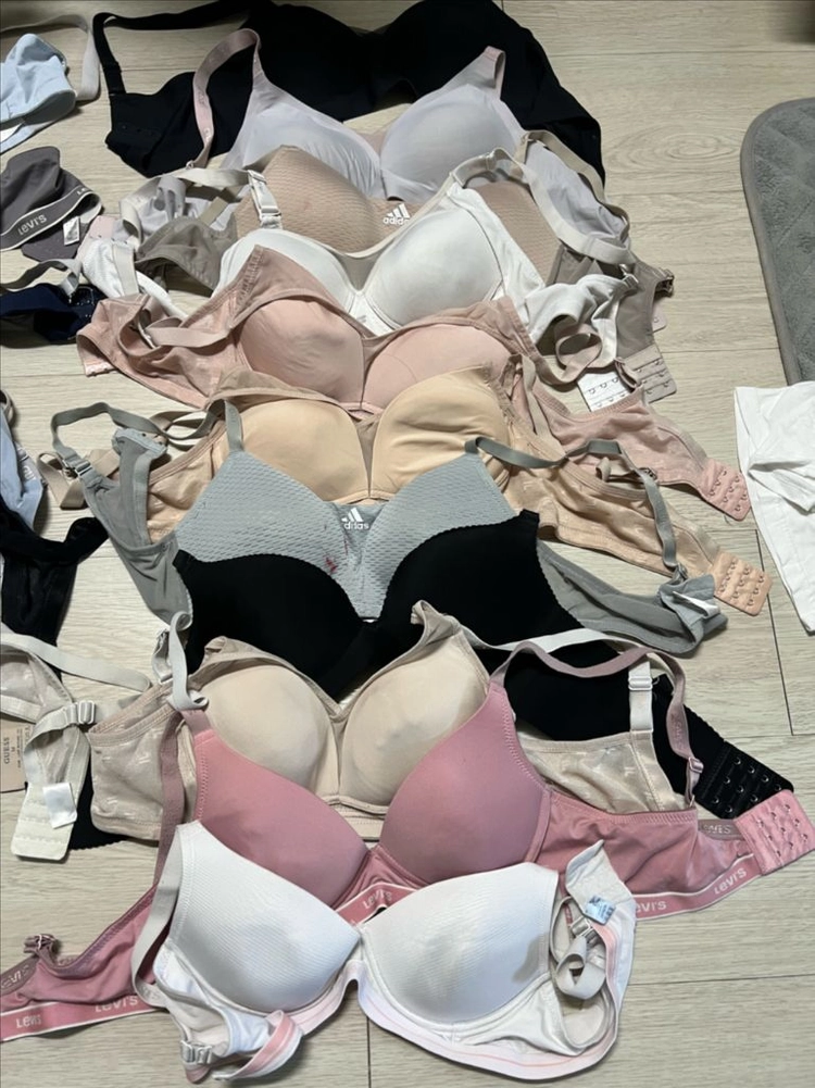 여자속옷(브래지어) 19개 이미지
