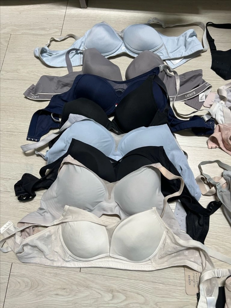 여자속옷(브래지어) 19개 이미지
