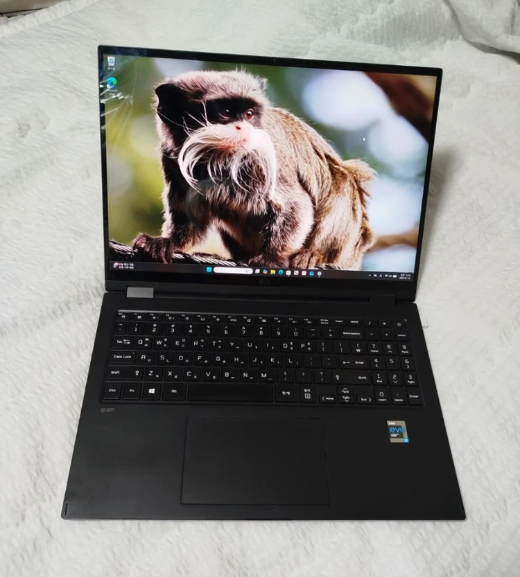 LG그램 16T90P-GR5BK 360 터치스크린 이미지