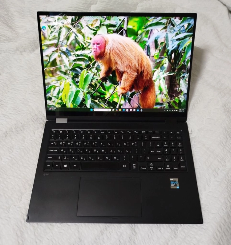 LG그램 16T90P-GR5BK 360 터치스크린 이미지