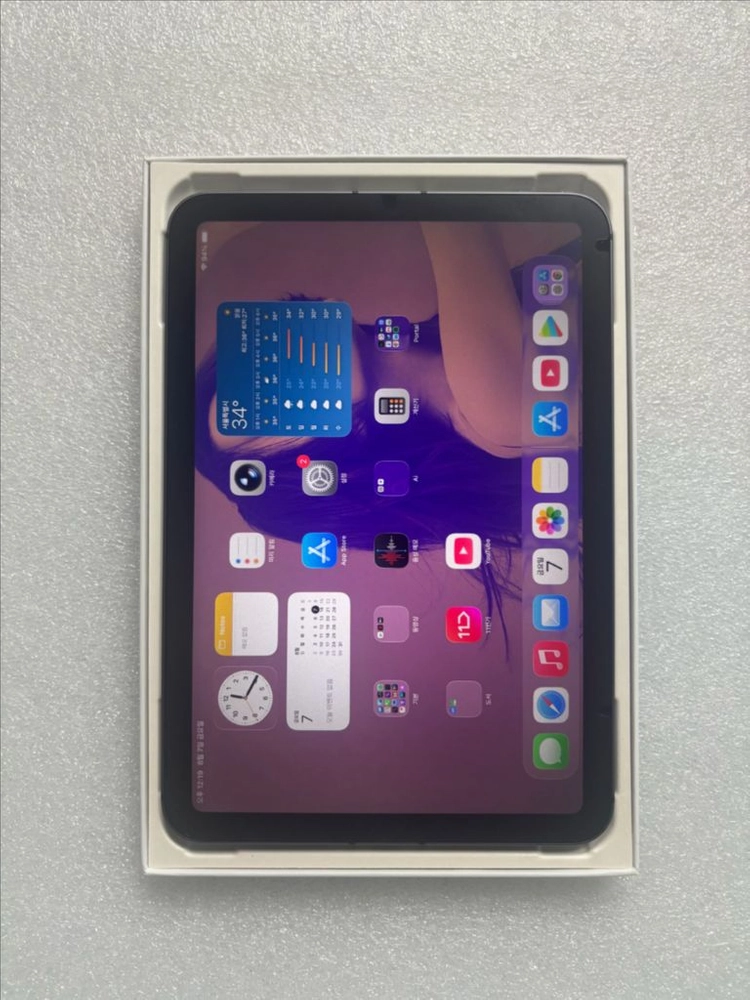 S급 자급재아이패드미니6 셀룰러 256GB 이미지