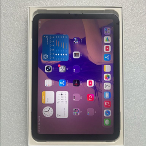 S급 자급재아이패드미니6 셀룰러 256GB(리퍼) 이미지