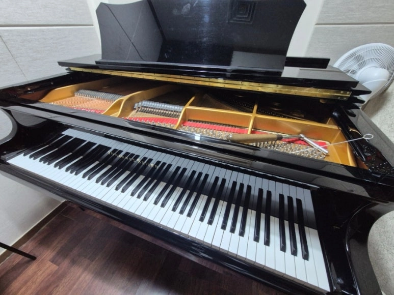 자일러 그랜드피아노 gs151d - 안심되는 중고거래