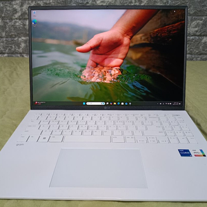 LG 그램 15인치 모델 15Z95N-GP5TL 이미지