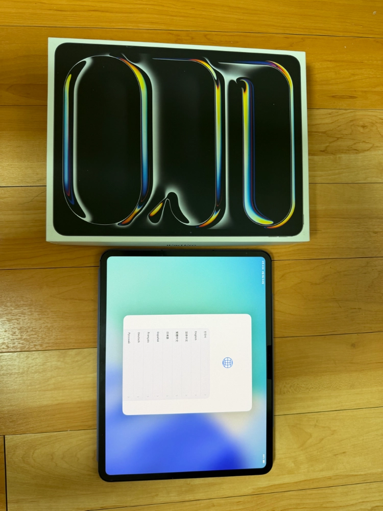 아이패드프로 M4 13인치 256g 셀룰러 이미지