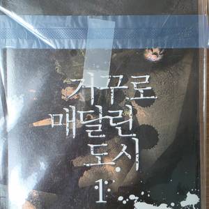거꾸로 매달린 도시 _ 타란튤라 이미지