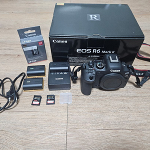캐논 EOS R6M2