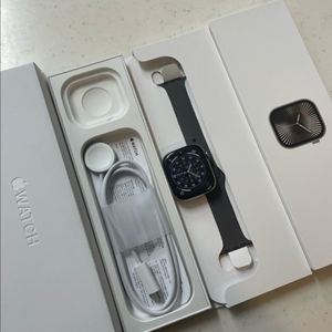애플워치10티타늄 46mm 내추럴 SSS급 이미지