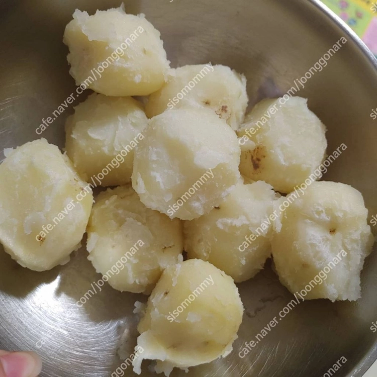 26년 강원도 감자 판매합니다. 이미지