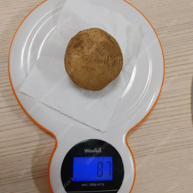 26년 강원도 감자 판매합니다. 이미지