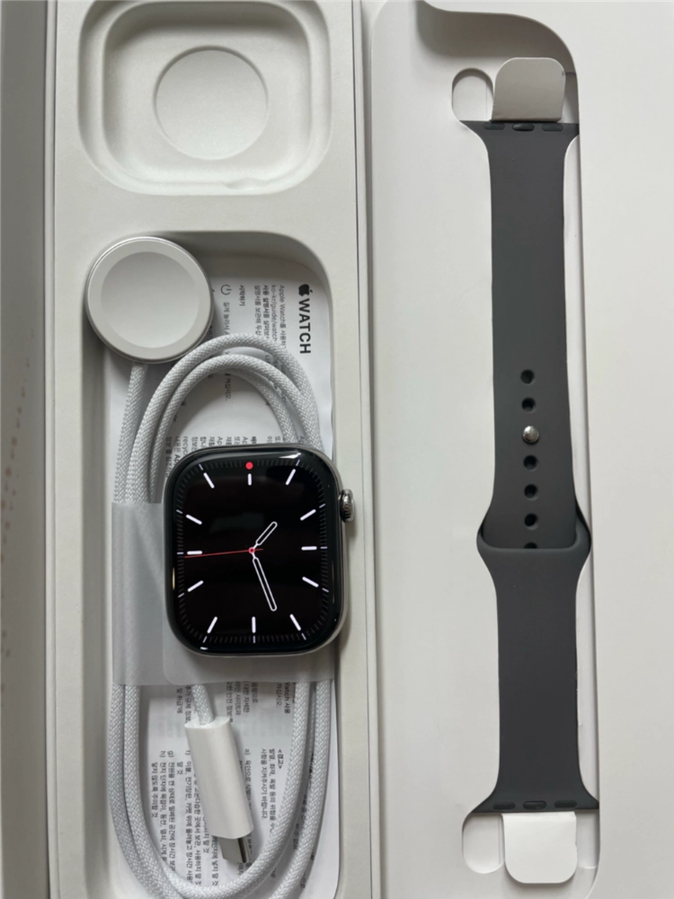 애플워치10티타늄 46mm 내추럴 SSS급 직거래할인 이미지