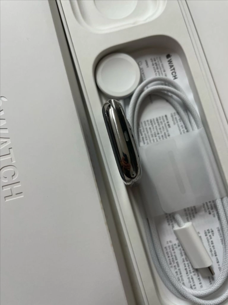 애플워치10티타늄 46mm 내추럴 SSS급 직거래할인 이미지