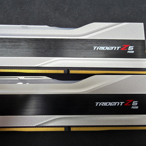 [RAM] 지스킬 G.SKILL DDR5-6000 CL30 트라이던트 Z5 RGB 실버 32GB (16GB x 2) 이미지