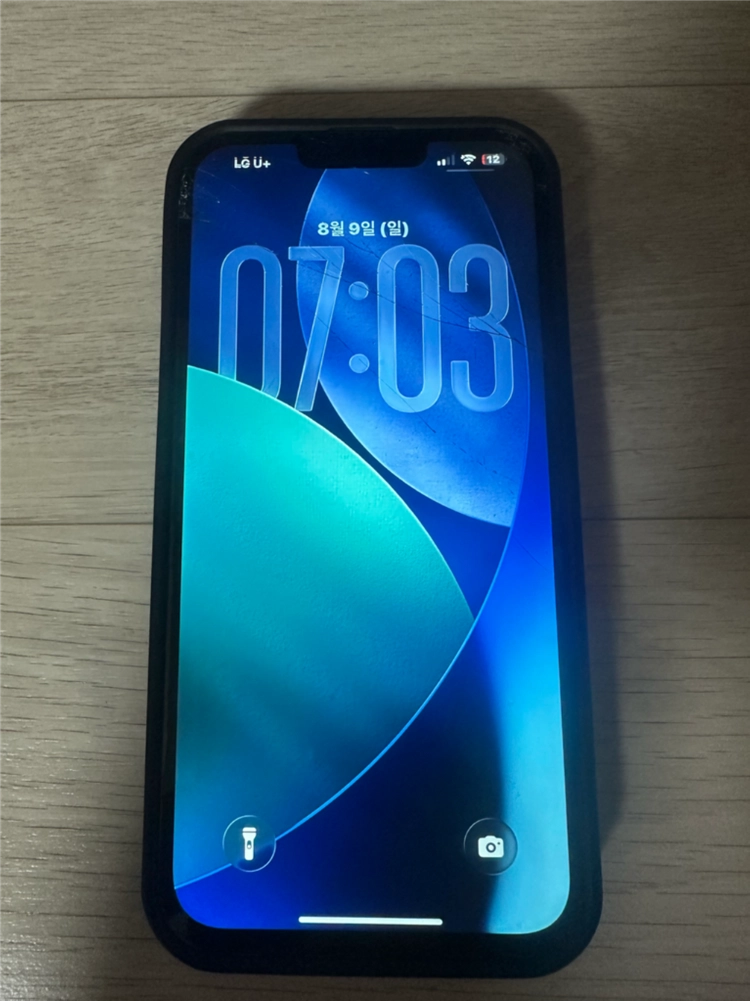 아이폰 13 프로맥스 256g - 안심되는 중고거래